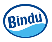 Bindu